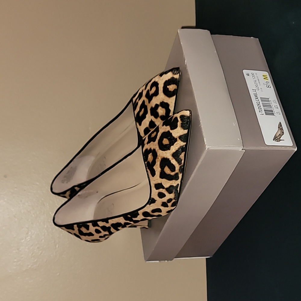 Franco Sarto L-Tudor2